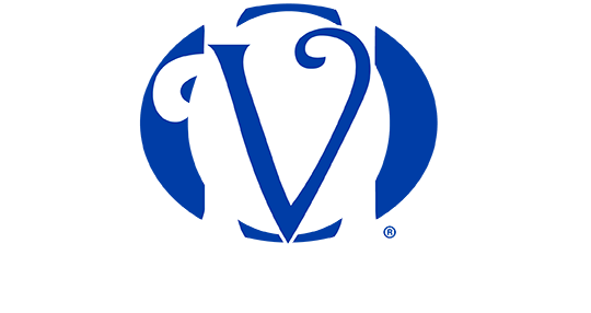 Vázquez Hernández Contadores, S.C. - Firma de contadores, en Ciudad de  México, especializados en servicios de contaduría y fiscales.
